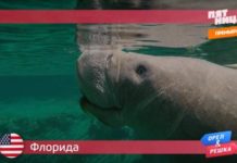 Орел и Решка: По морям 2 - штат Флорида / США 18 сезон 19 серия